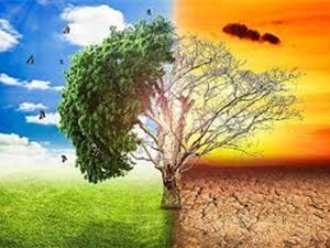 Năm 2030: Nguy cơ giảm 6.2% sản lượng nông nghiệp do biến đổi khí hậu